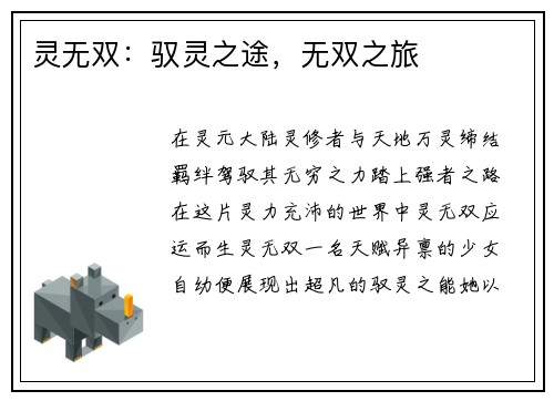 灵无双：驭灵之途，无双之旅