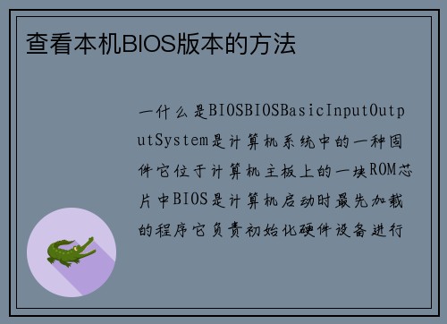 查看本机BIOS版本的方法